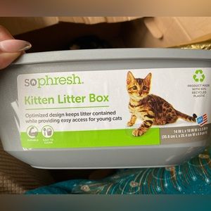 Kitten litter box By Sophresh